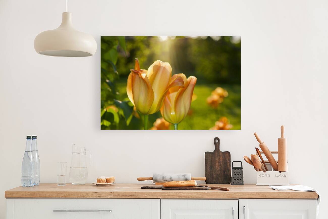 Glorious Day Reproduction