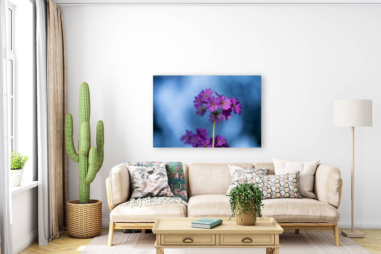 Pink and Blue Reproduction