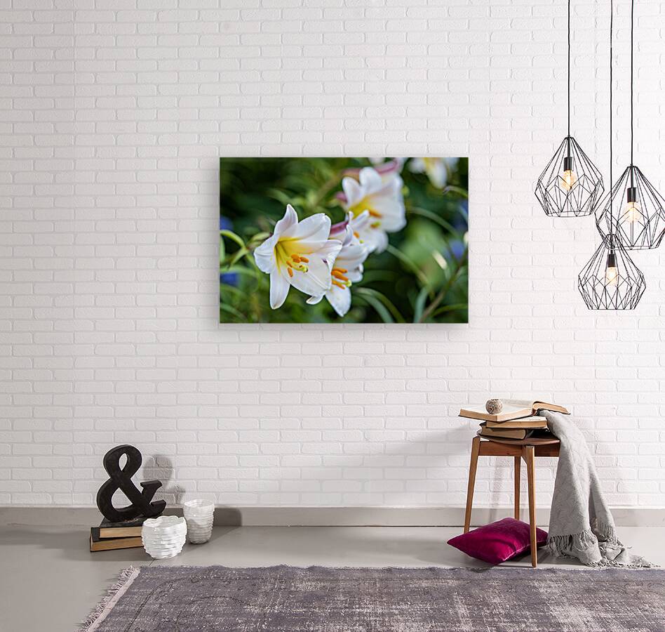 Easter Lily Reproduction