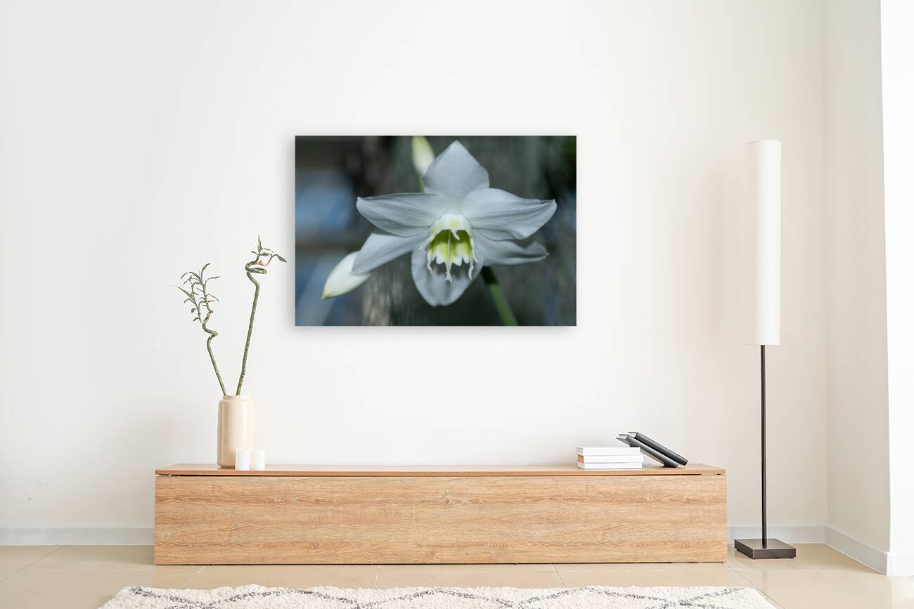 Pearly Radiance Reproduction