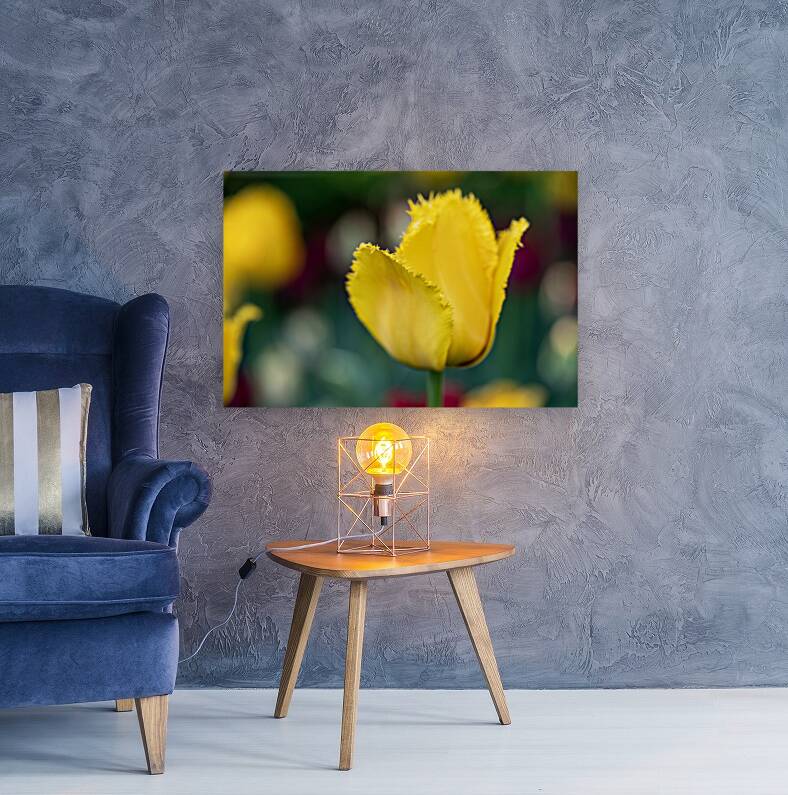 Call Me Fabiola Reproduction