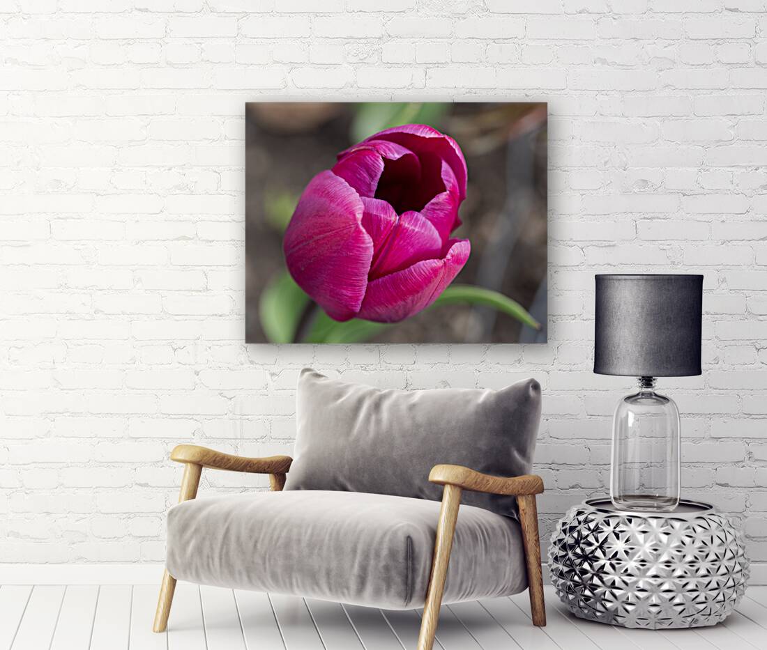 Pretty Pink Reproduction