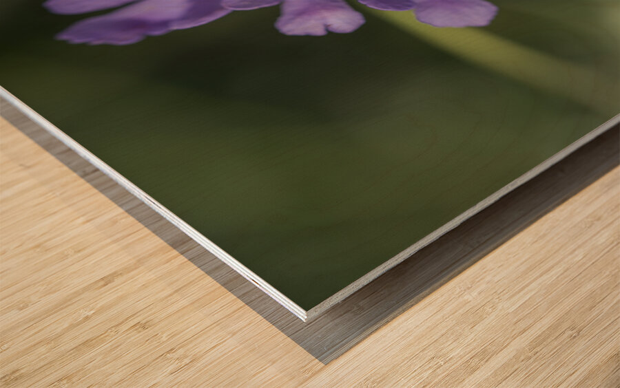 Fluttering Wood print