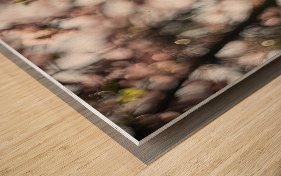 Sunny Serenity Wood print