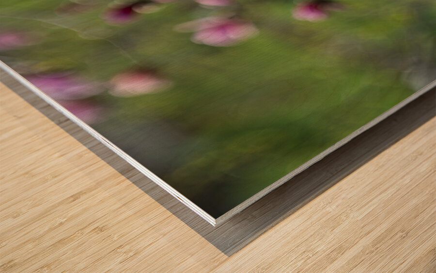 Roseate Whispers Wood print