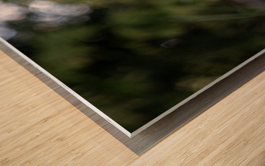 Pink Bliss Wood print