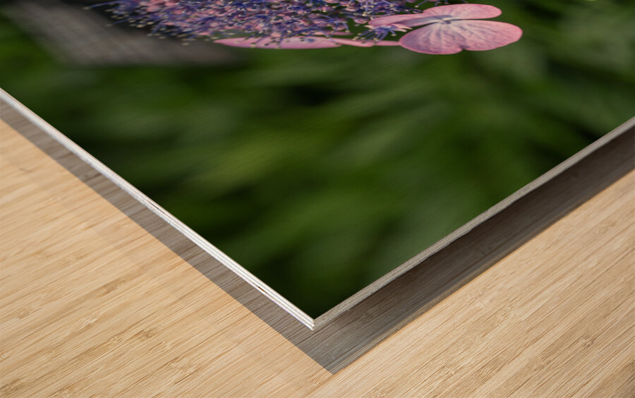 Penny Mac Wood print