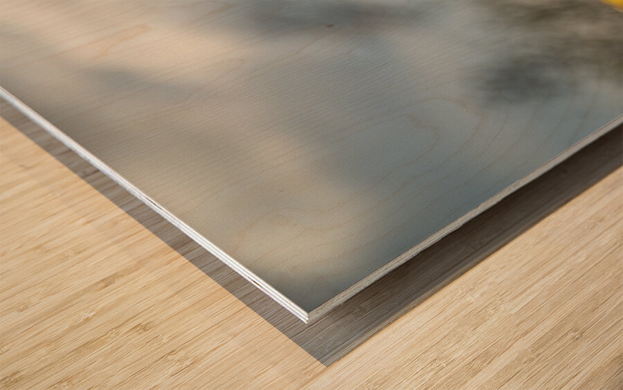 Regal Reverie Wood print