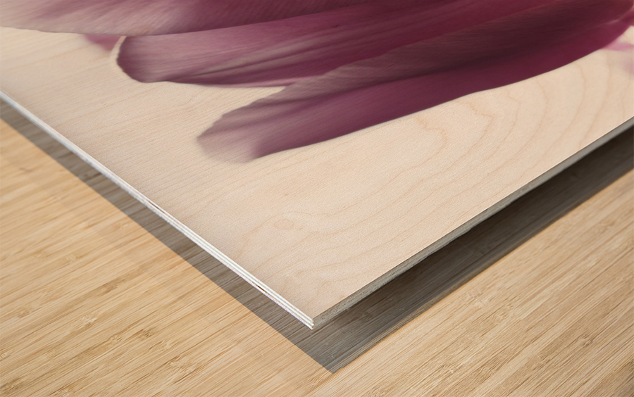 Pink Tulips Wood print