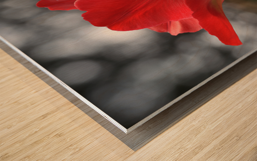 Happy One Wood print