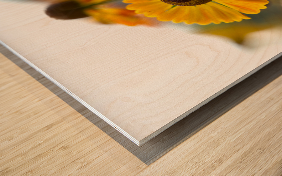 A Beautiful Day Wood print