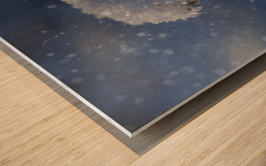 Frozen Top Wood print