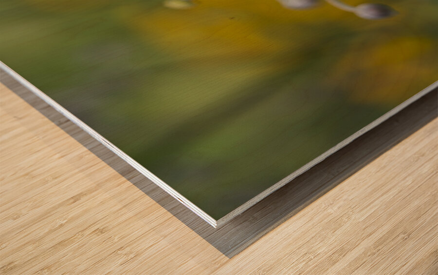 Pretty Lovely Wood print