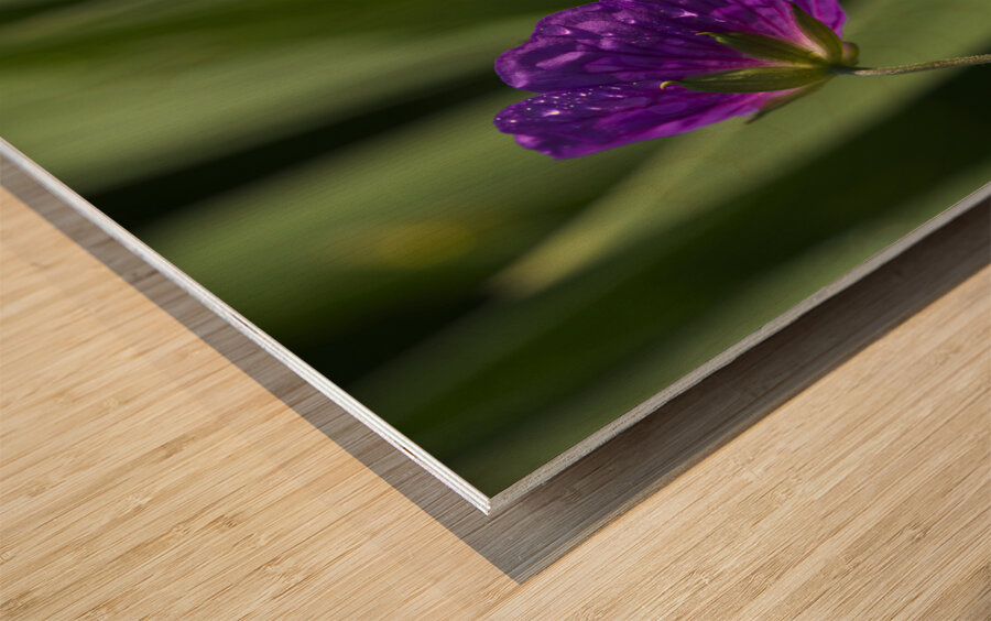 Purple Pretty Wood print