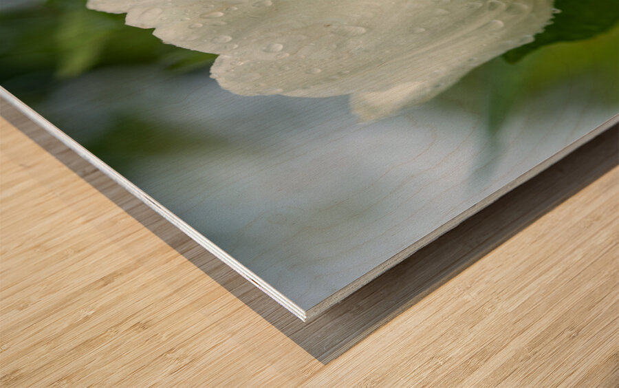 The Plumpy One Wood print