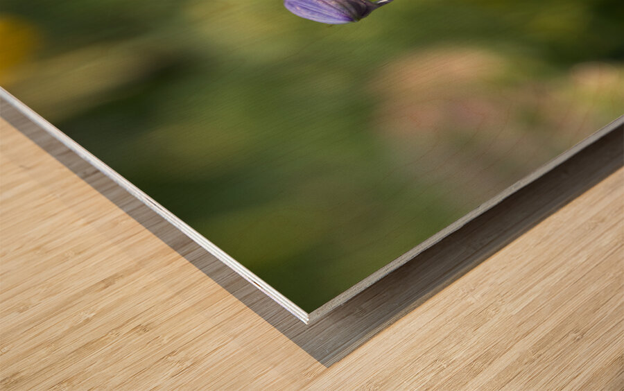 Rain Drops Wood print