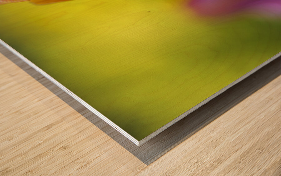 Freshness Overload Wood print