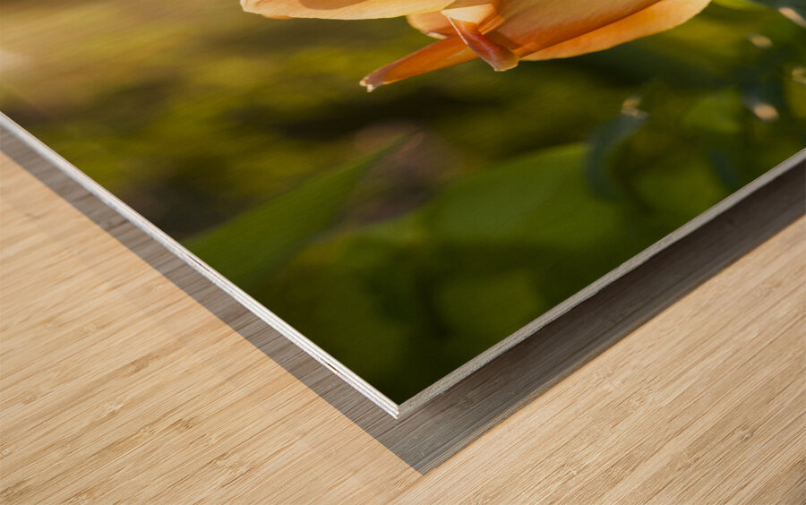 Glorious Day Wood print