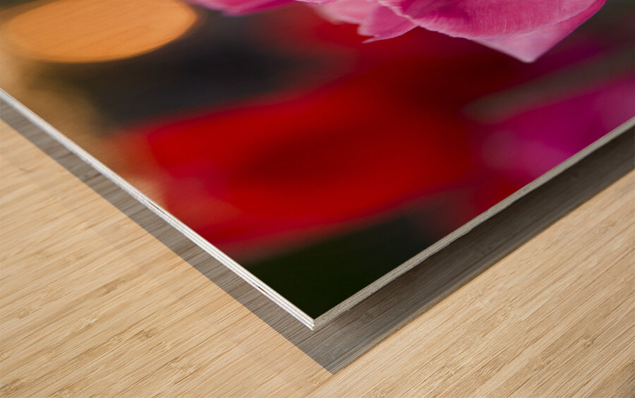 Three Amigos Wood print