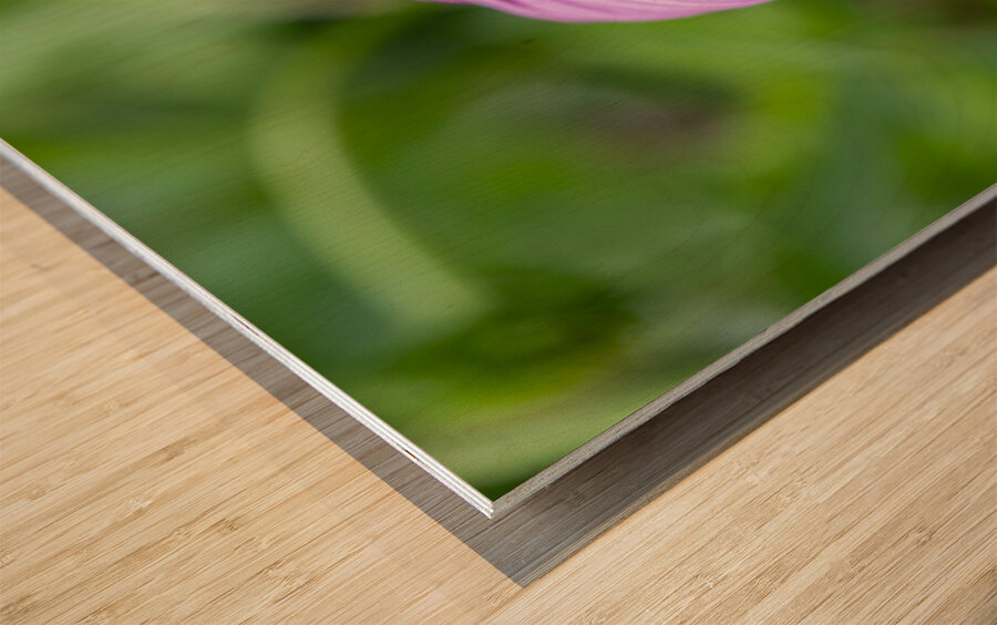 Ruby Star Wood print