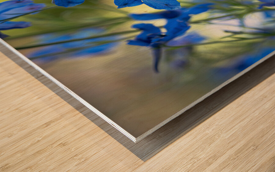 Bluest Blue Flowers Wood print