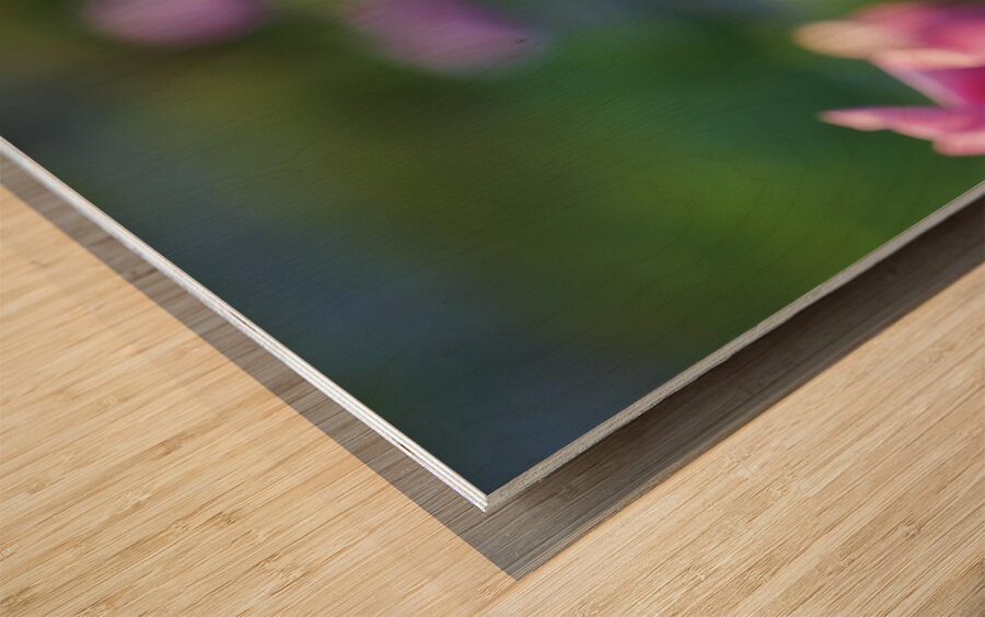 Peace Lady Wood print