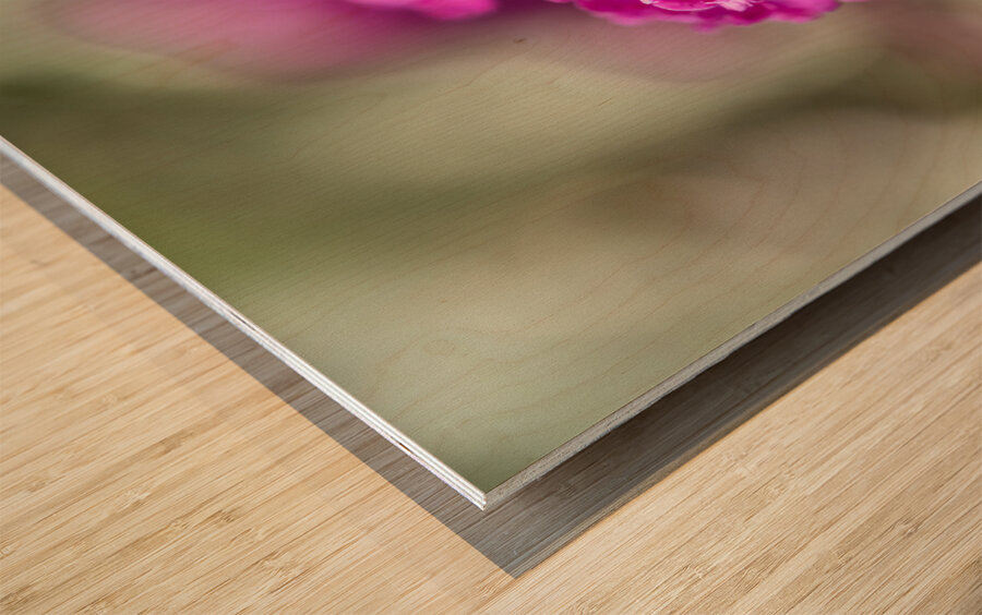 Orange Eye Wood print