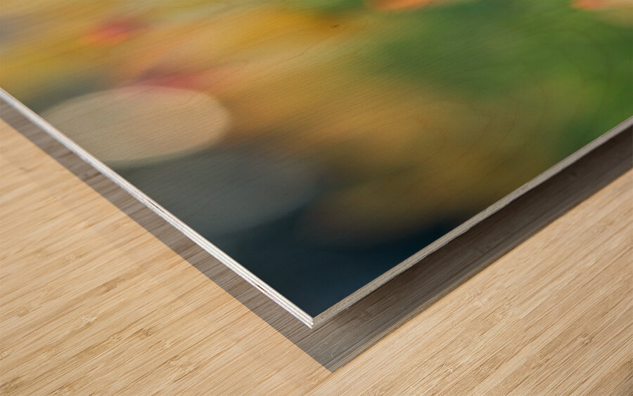 Pretty Field Wood print