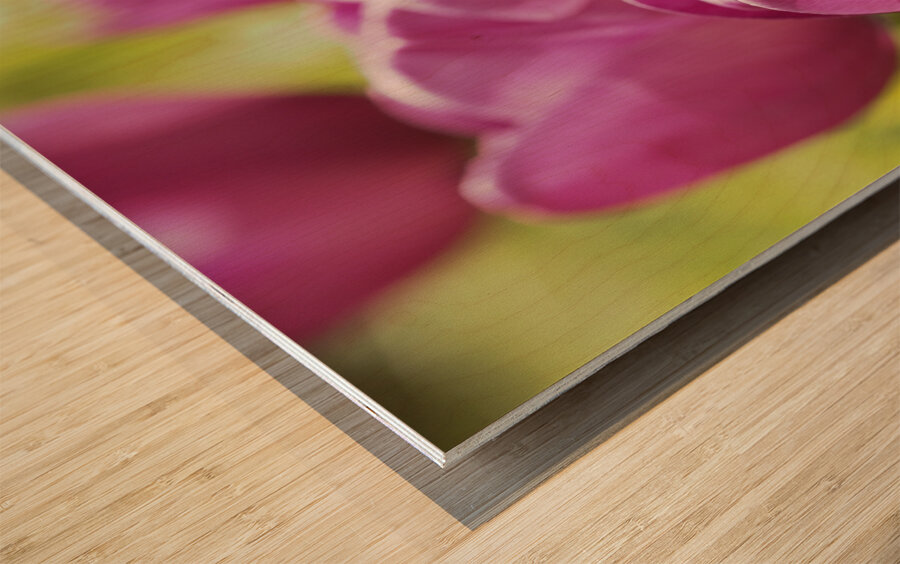 Follow the Leader Wood print