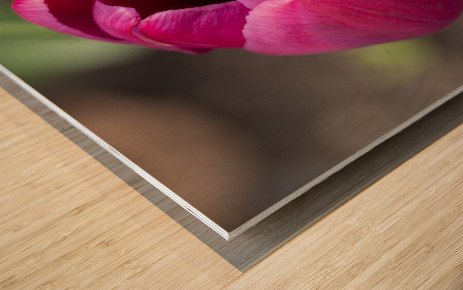 Pretty Pink Wood print