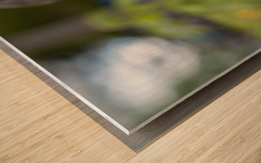 Her Majesty Wood print