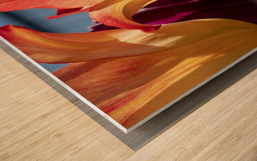 Enchanting Beauty Wood print